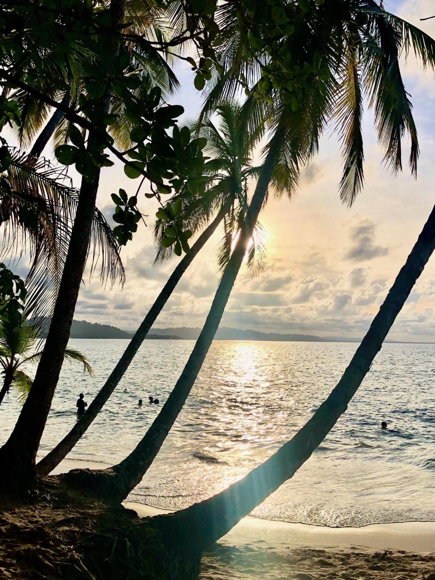 Cabinas Ole Caribe Puerto Viejo de Talamanca ภายนอก รูปภาพ