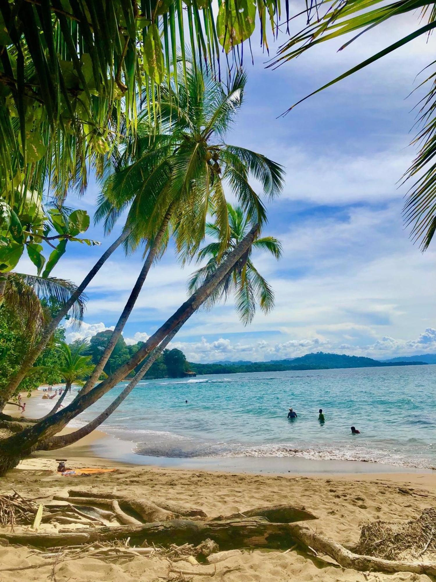 Cabinas Ole Caribe Puerto Viejo de Talamanca ภายนอก รูปภาพ