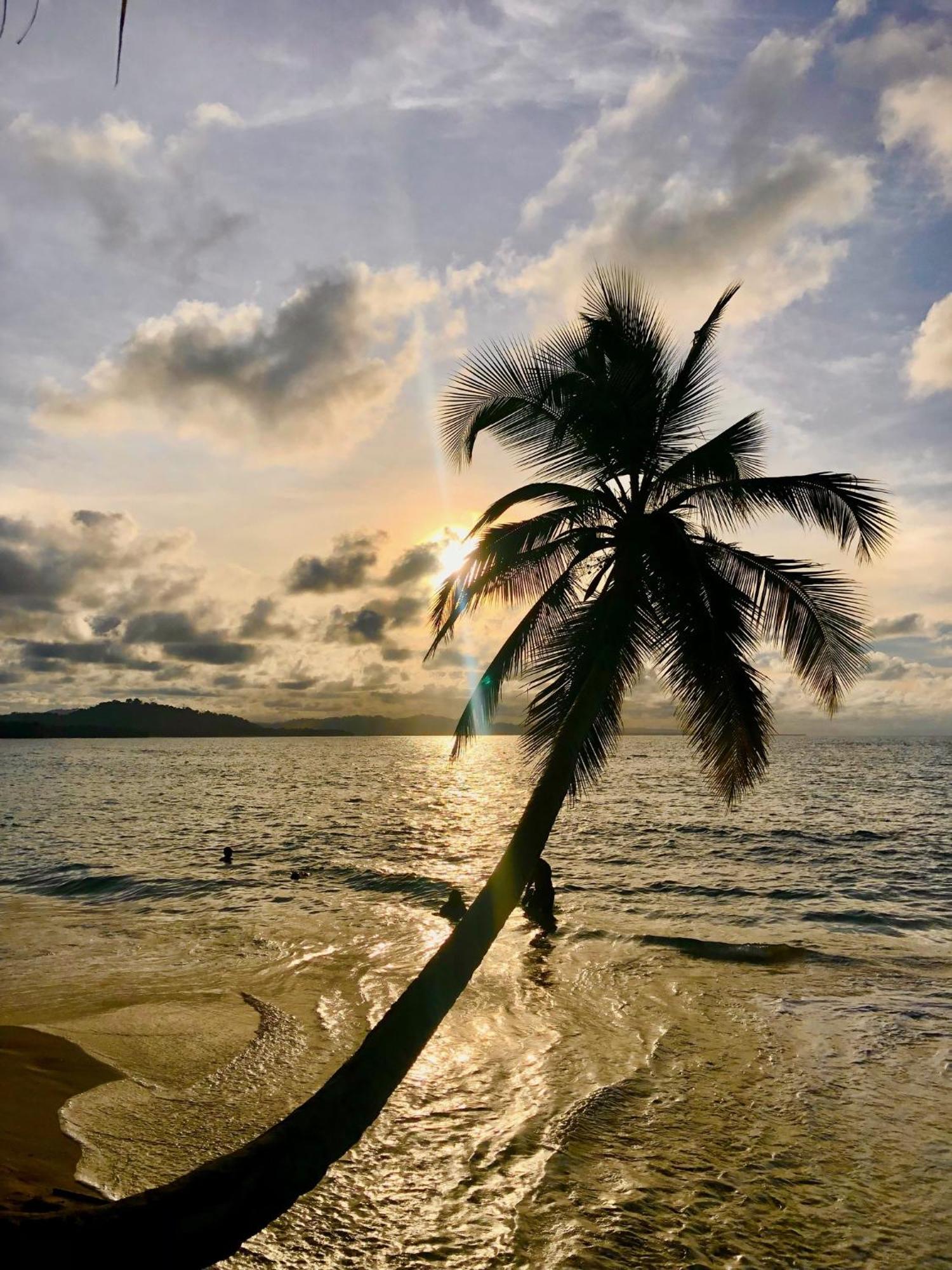 Cabinas Ole Caribe Puerto Viejo de Talamanca ภายนอก รูปภาพ