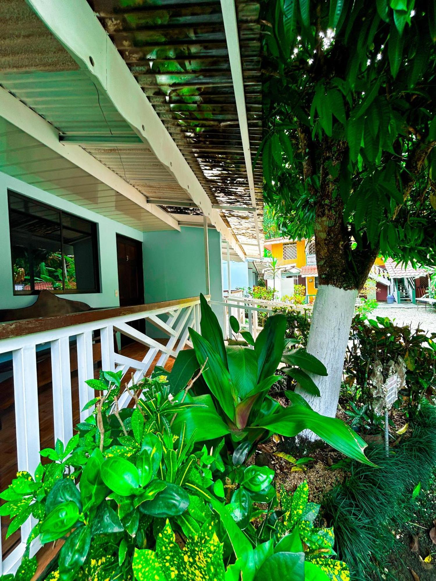 Cabinas Ole Caribe Puerto Viejo de Talamanca ภายนอก รูปภาพ
